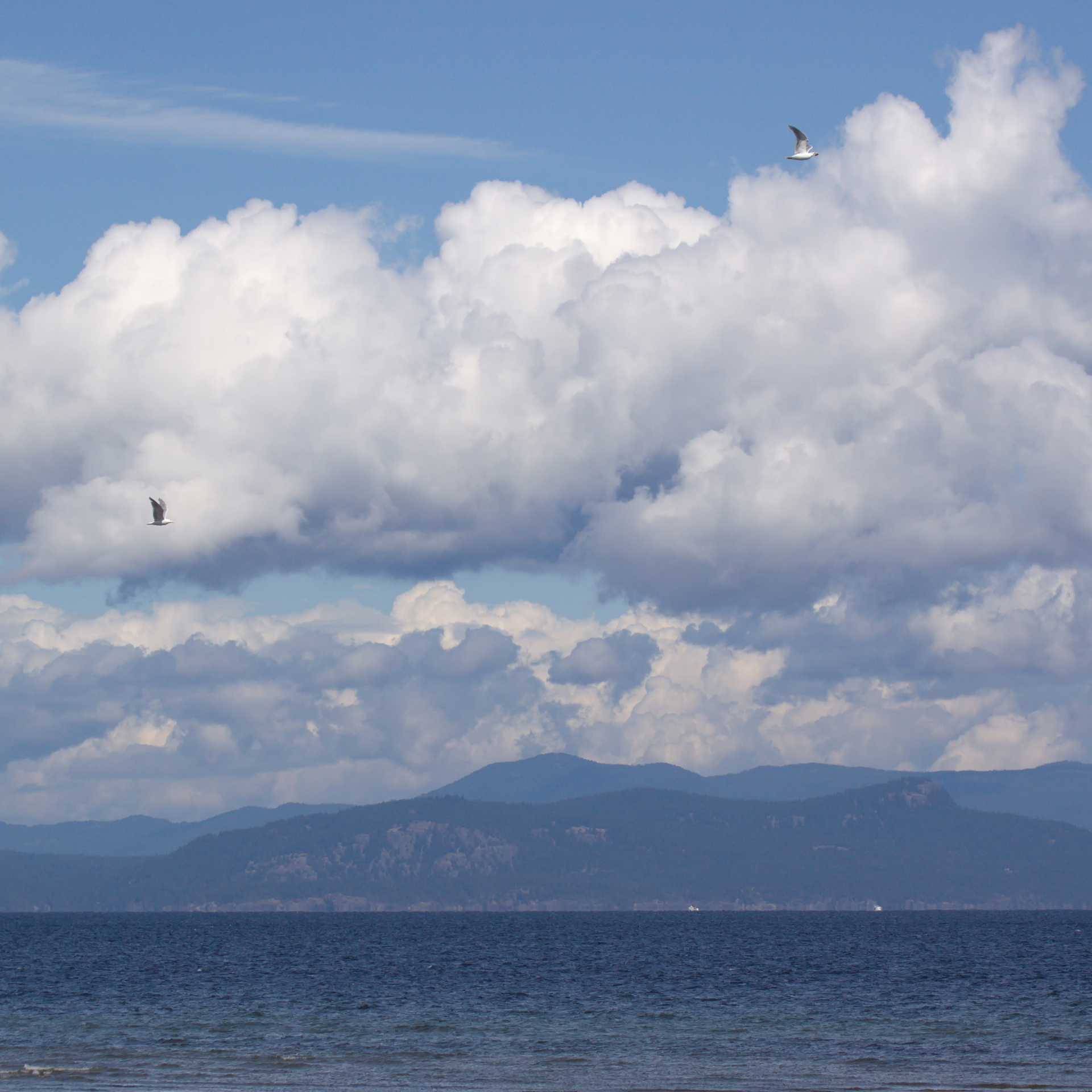 Parksville